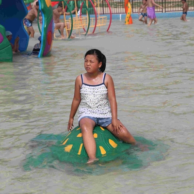 Niestandardowy żółw wodny Aqua Play Water Playground, wyposażenie parków w sprayu do parku wodnego